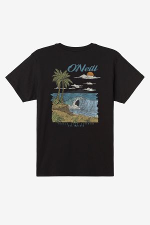 Shorebreak Standard Fit Tee