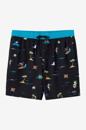 Hermosa Elastic Waist Lined 17 Swim Trunks