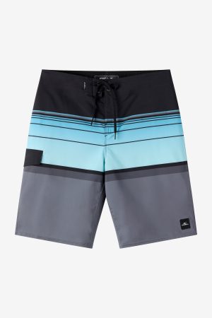 Lennox Stripe 21 Boardshorts