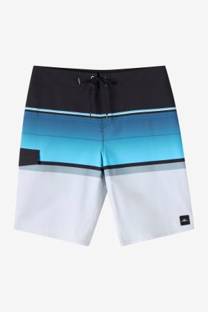 Lennox Stripe 21 Boardshorts