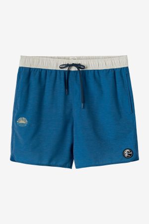 O'Riginals Solid Scallop Volley 16 Swim Trunks