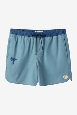 O'Riginals Solid Scallop 16 Swim Trunks