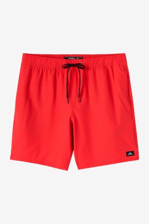 Lennox Hermosa Solid Elastic Waist 17 Swim Trunks