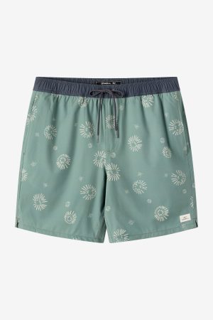 Hermosa Elastic Waist Lined 17 Swim Trunks