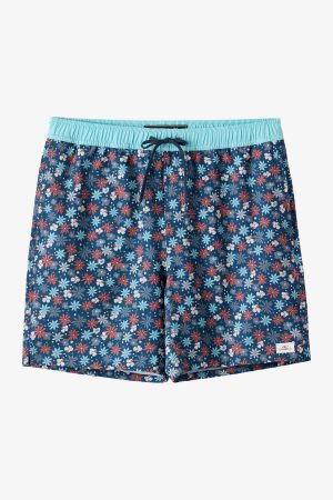 Hermosa E-Waist 17 Swim Trunks