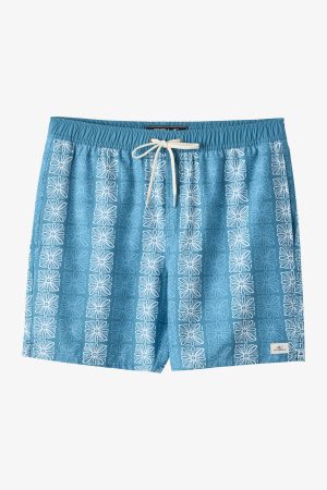 Hermosa E-Waist 17 Swim Trunks