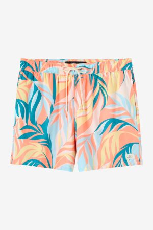 Hermosa Light Lined Volley 15 Swim Trunks