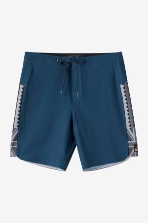 Hyperfreak Tech Panel Hawaii 19 Boardshorts