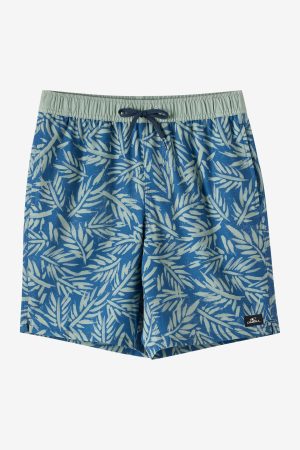 Boy's Hermosa Elastic Waist 16 Swim Trunks