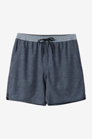 Perform Lined 17 Athletic Shorts